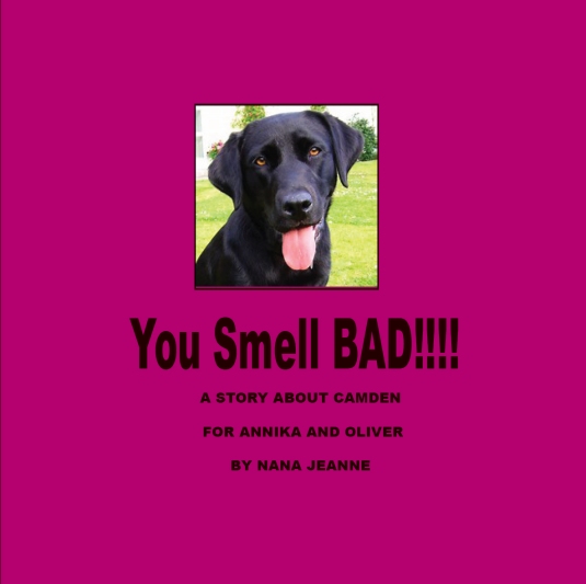 YouSmellBadCover